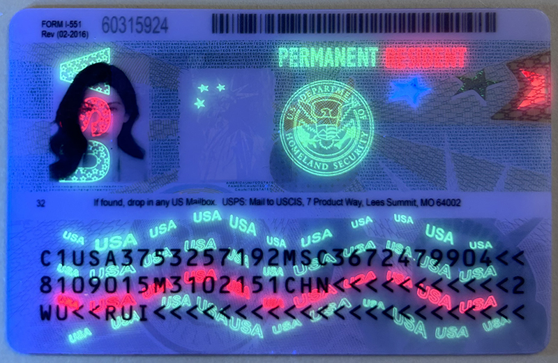 American Green Card-4
