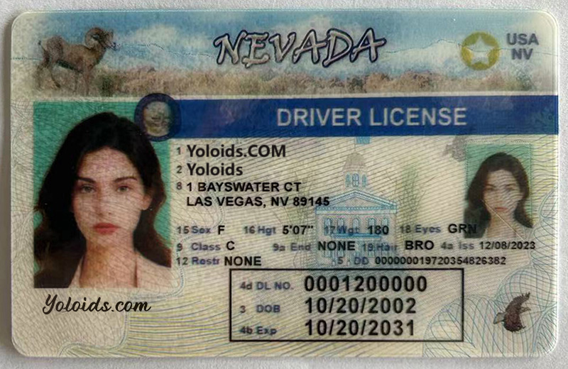 Nevada1